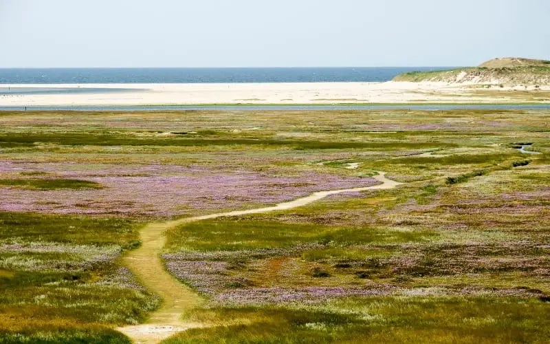 Visiting Texel Island - High angle view of Slufter area on Texel