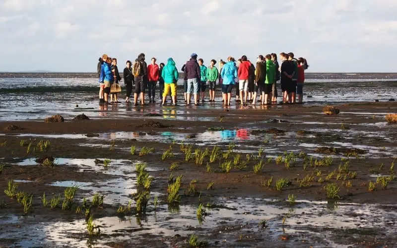 Visiting Texel Island - People mudflat walking