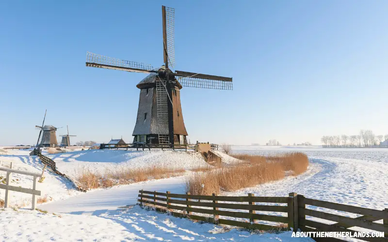 Windmills in Schermerhorn